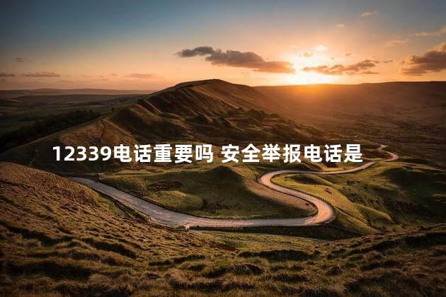 12339电话重要吗 安全举报电话是多少